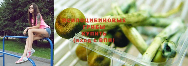 спиды Мегион