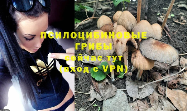 спиды Мегион